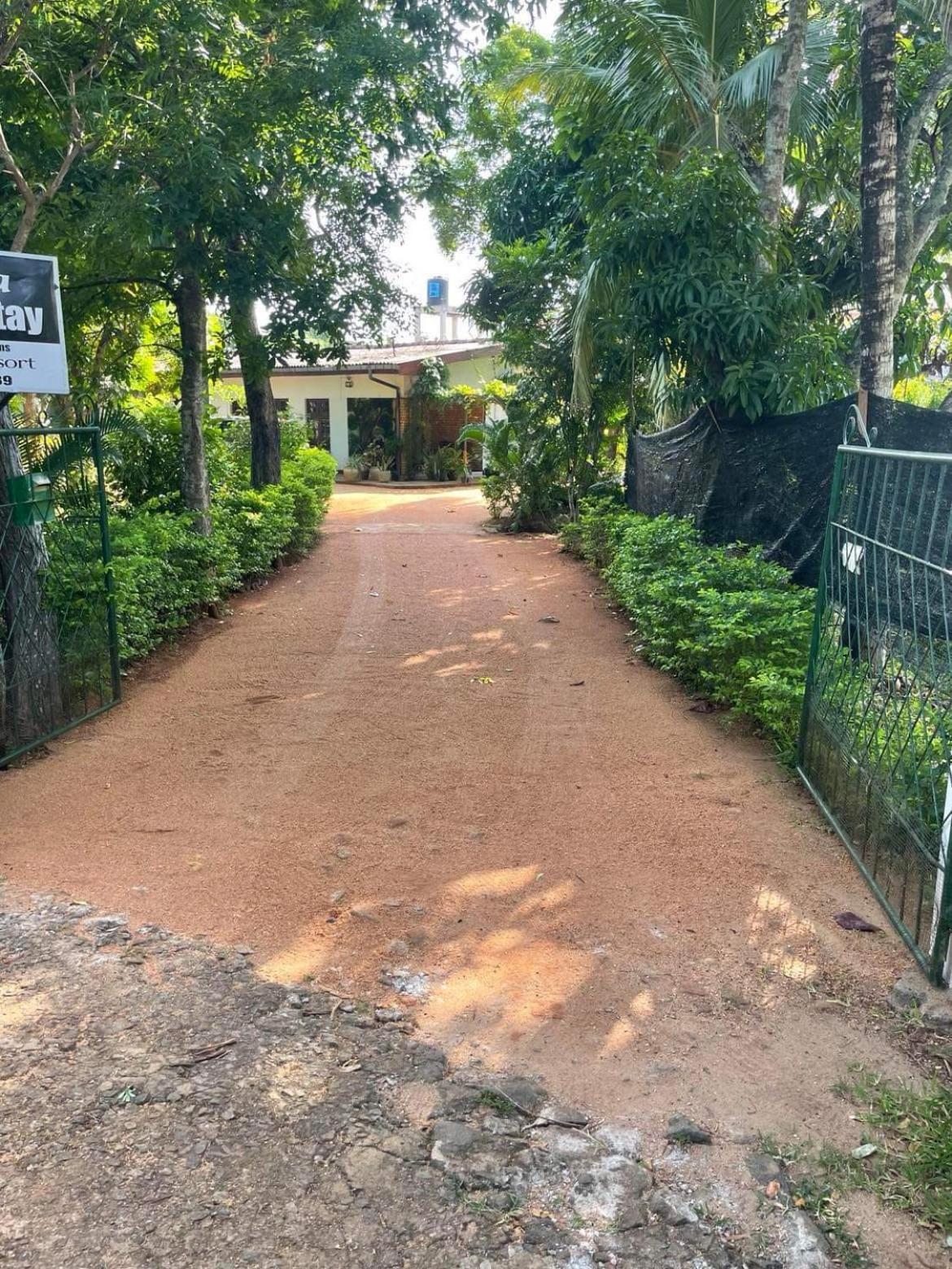Olivia HomeStay Anuradhapura Luaran gambar