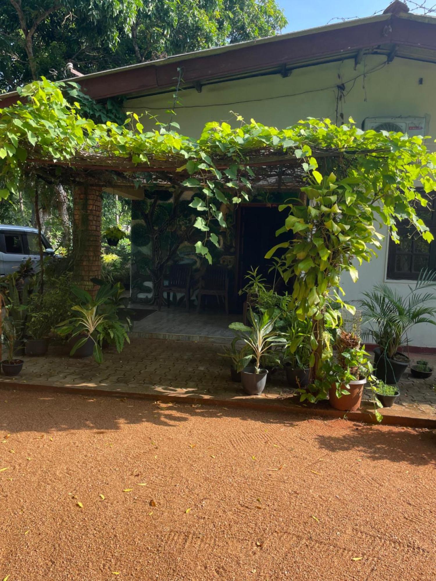Olivia HomeStay Anuradhapura Luaran gambar