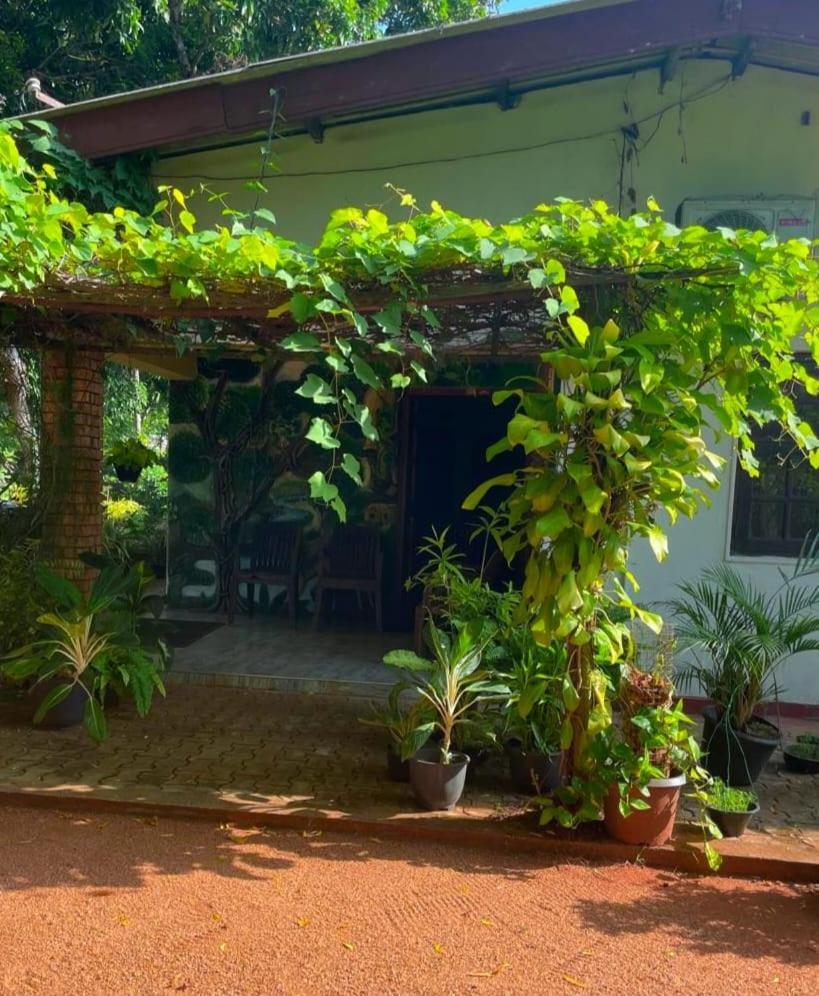 Olivia HomeStay Anuradhapura Luaran gambar
