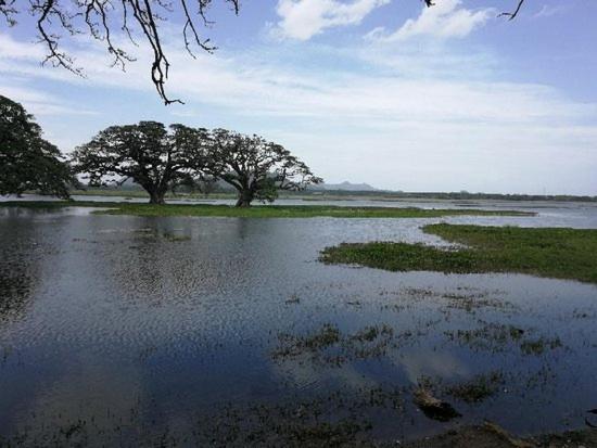 Olivia HomeStay Anuradhapura Luaran gambar