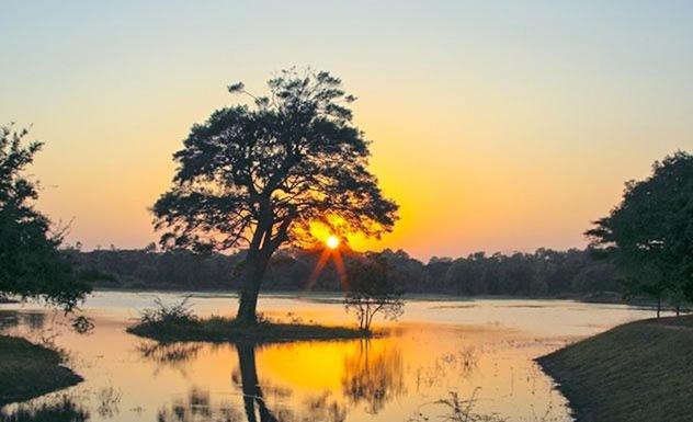 Olivia HomeStay Anuradhapura Luaran gambar